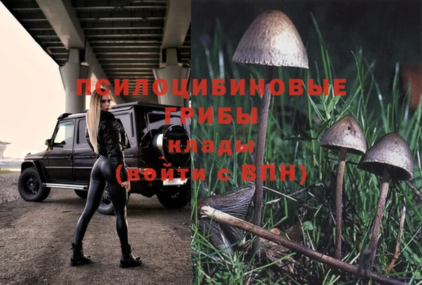 гашиш Абаза