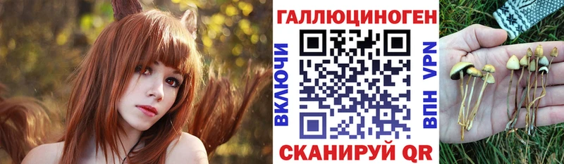 ссылка на мегу ссылка  Истра  Галлюциногенные грибы прущие грибы 
