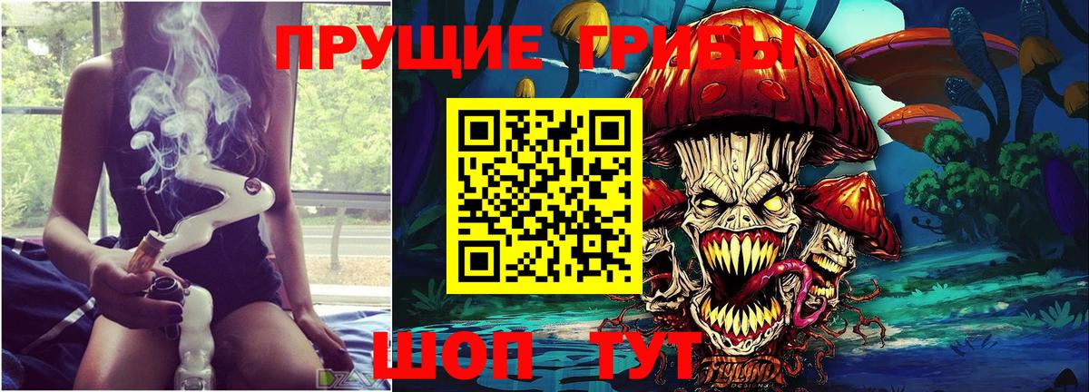 Истра  Псилоцибиновые грибы GOLDEN TEACHER  Вход с VPN  Галлюциногенные грибы GOLDEN TEACHER 