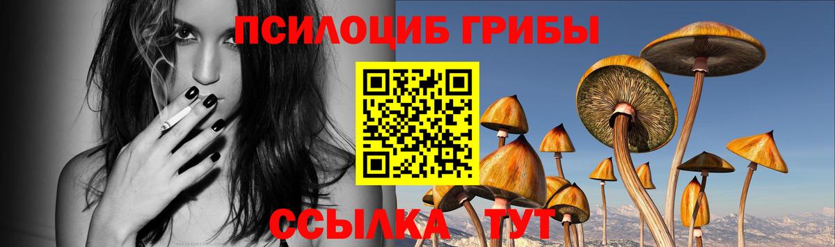 Псилоцибиновые грибы GOLDEN TEACHER Истра